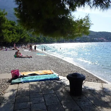 Rozic *